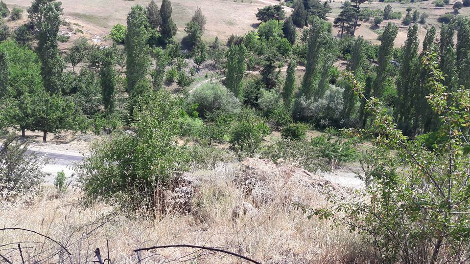 Turgay Asmalıkaya 9 Temmuz 2016 35